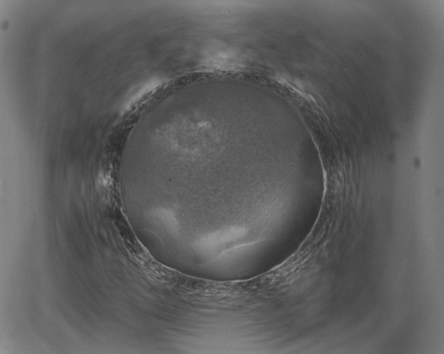 X0000062651254200512230847