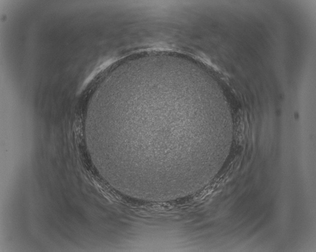X0000062651255200512230847
