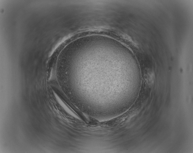 X0000062651256200512230847
