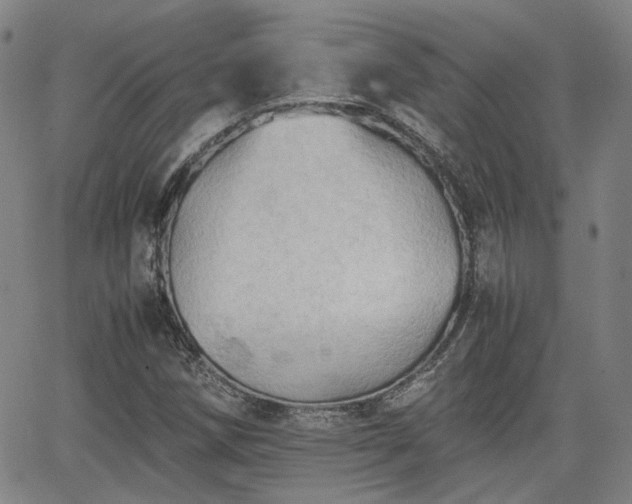 X0000062651258200512230847