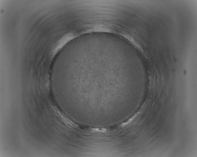 X0000062651266200512230847