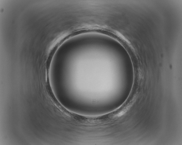 X0000062651269200512230847