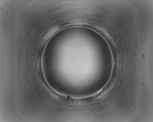 X0000062651273200512230847