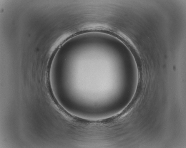 X0000062651277200512230846