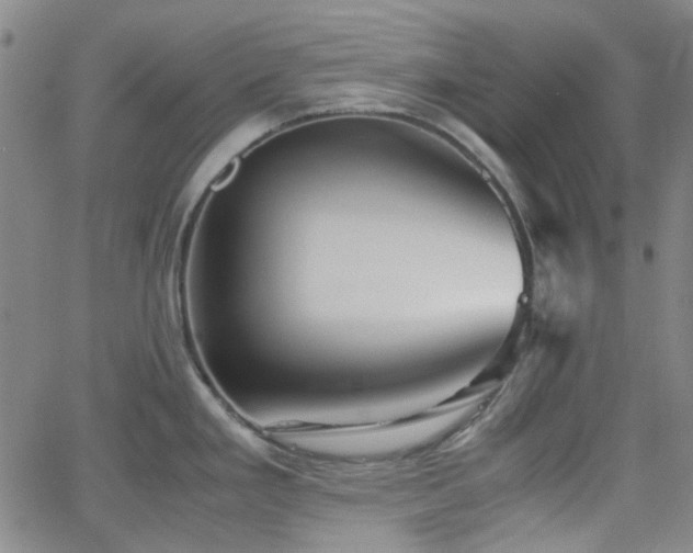 X0000062651293200512230846