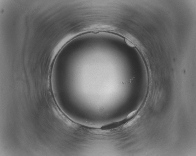 X0000062651296200512230846