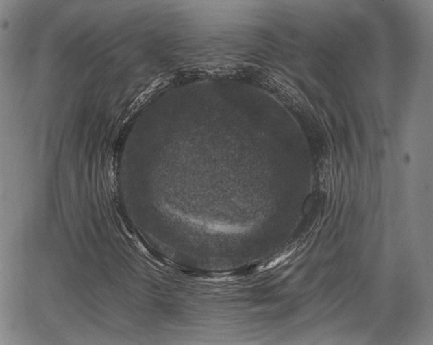 X0000062651298200512230845