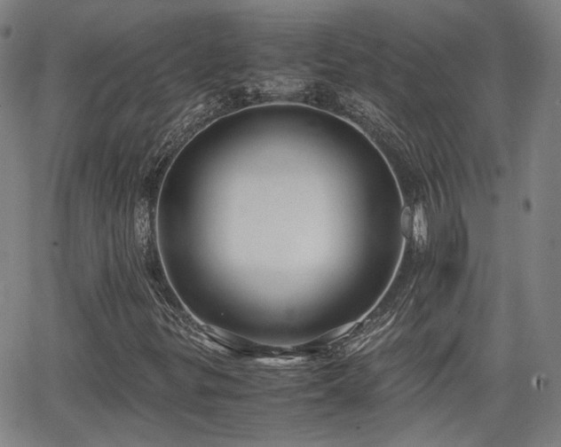 X0000062651299200512230845