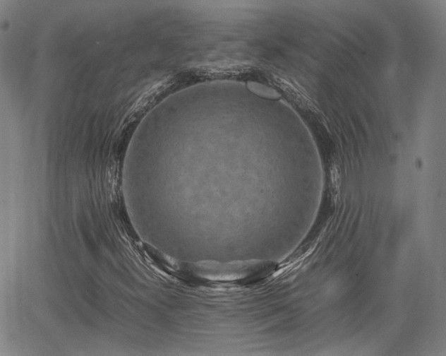 X0000062651300200512230845