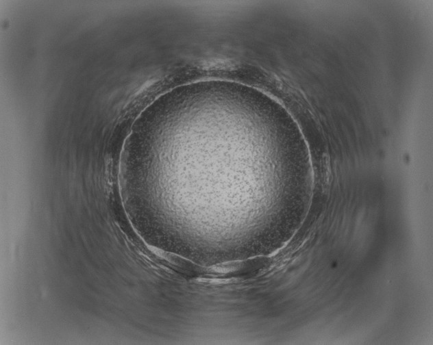 X0000062651301200512230845
