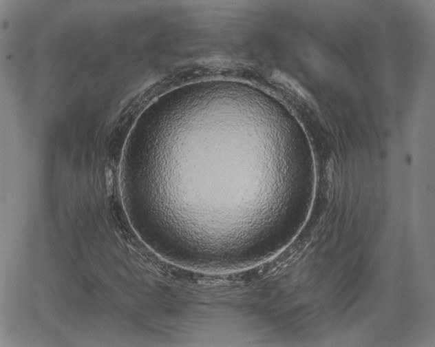 X0000062651302200512230845