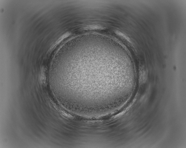 X0000062651305200512230845