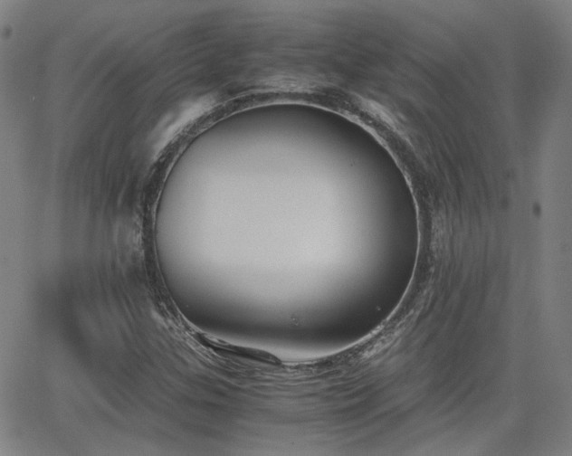 X0000062651307200512230846