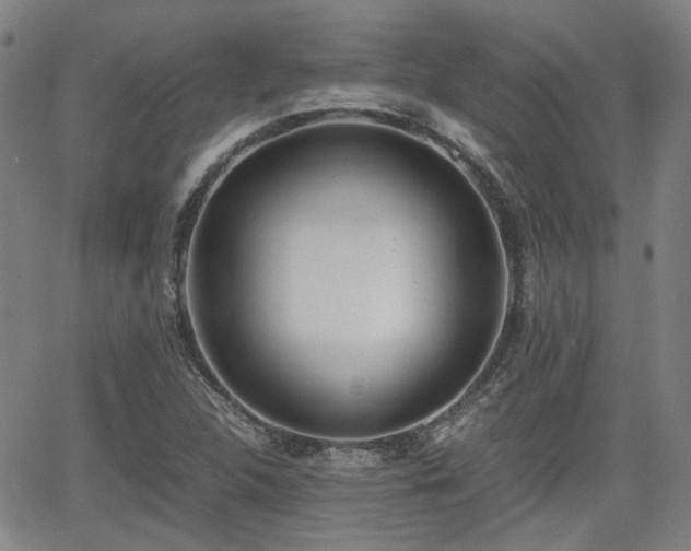 X0000062651312200512230846