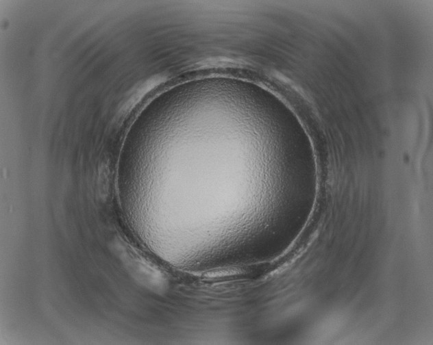 X0000062651313200512230846