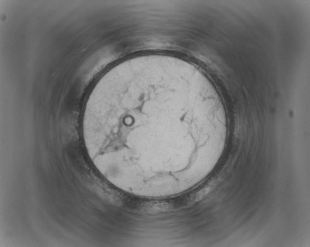X0000062651314200512230846
