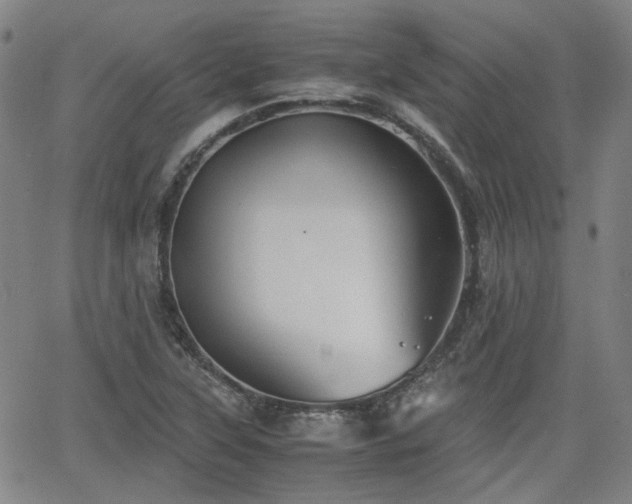 X0000062651315200512230846