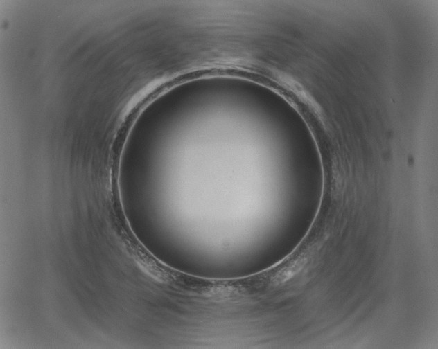 X0000062651316200512230846