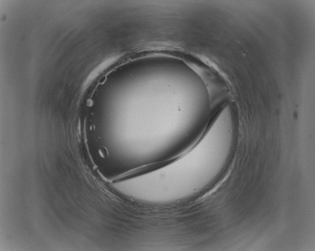 X0000062651317200512230846