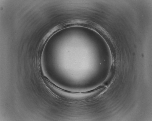 X0000062651321200512230846