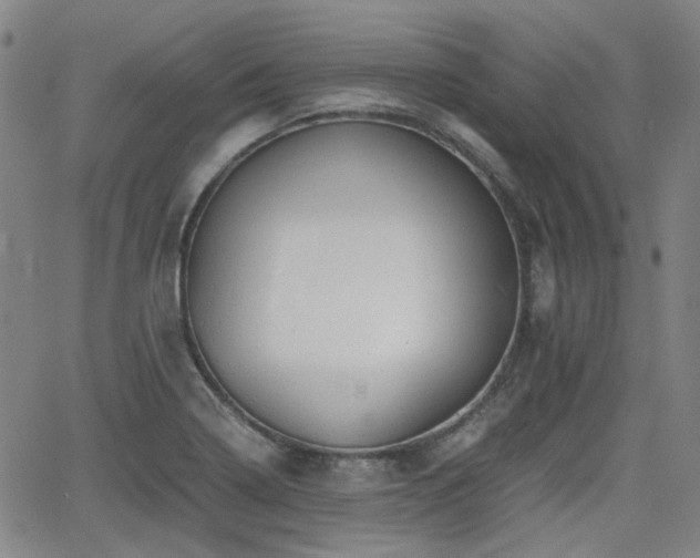 X0000062651322200512230846