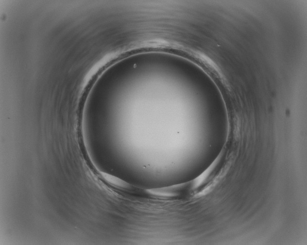 X0000062651326200512230846