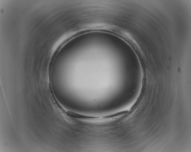 X0000062651328200512230846