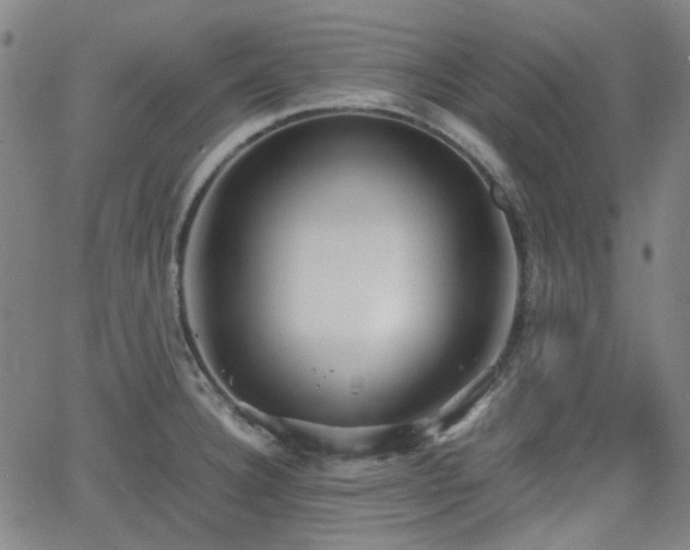 X0000062651332200512230846