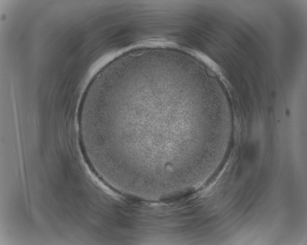 X0000062651335200512230846