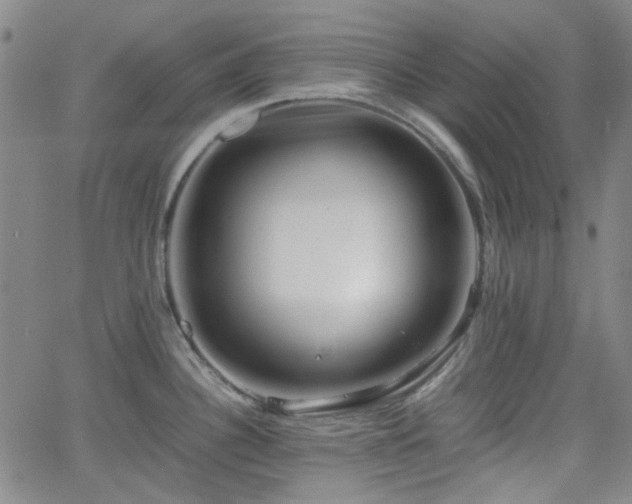 X0000062651340200512230846