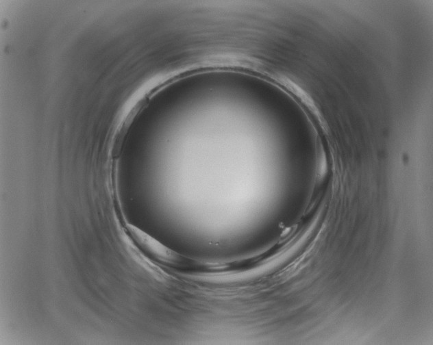 X0000062651342200512230846