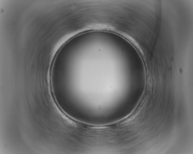 X0000062651343200512230846