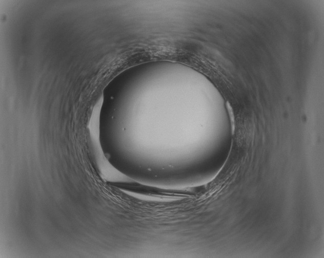 X0000062651345200512230845
