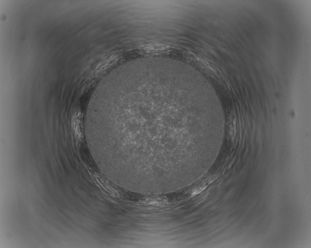 X0000062651346200512230845