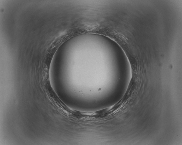 X0000062651349200512230845