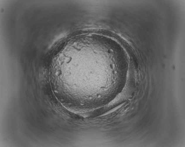 X0000062651351200512230845