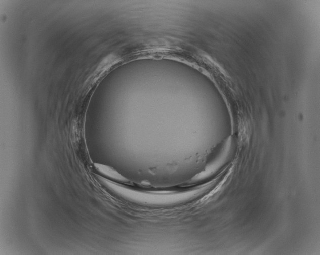 X0000062651353200512230845