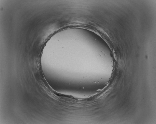 X0000062651355200512230845