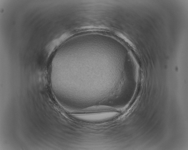 X0000062651357200512230845