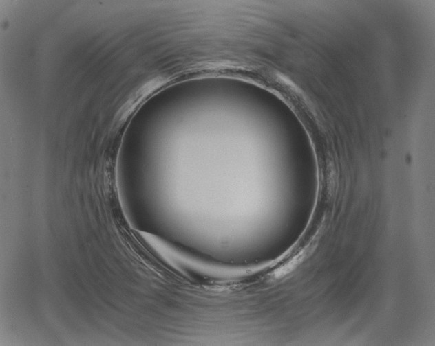 X0000062651361200512230845
