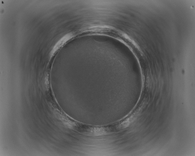 X0000062651362200512230845