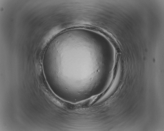 X0000062651363200512230845