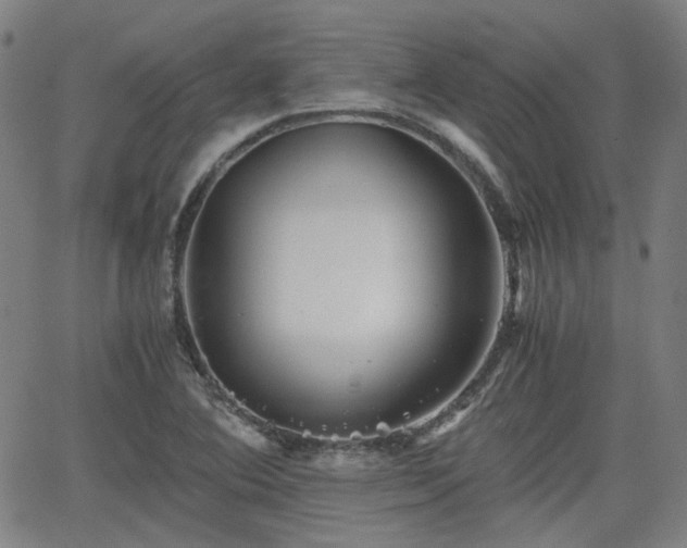 X0000062651364200512230845