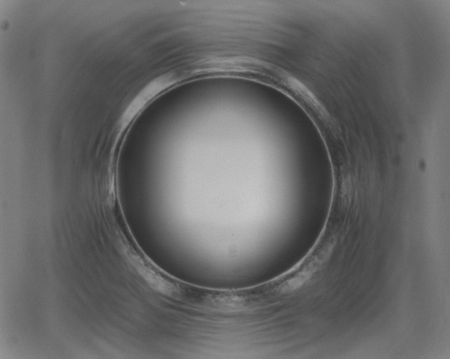 X0000062651370200512230845