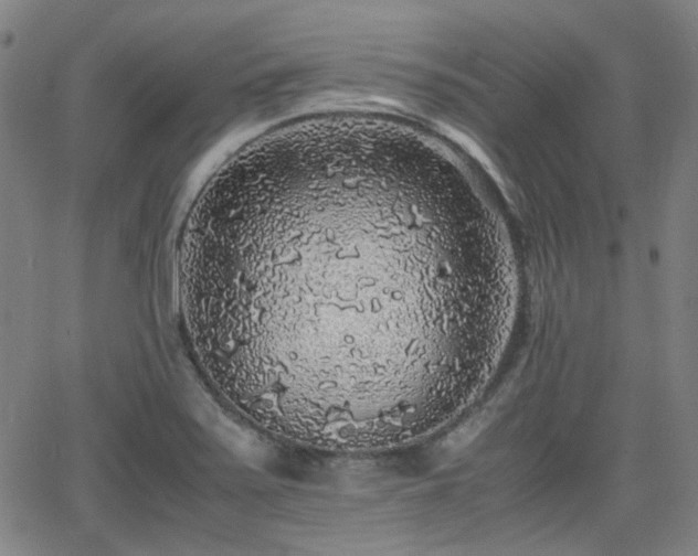 X0000062651371200512230845