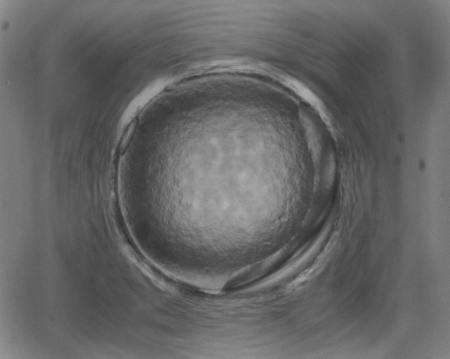 X0000062651373200512230845