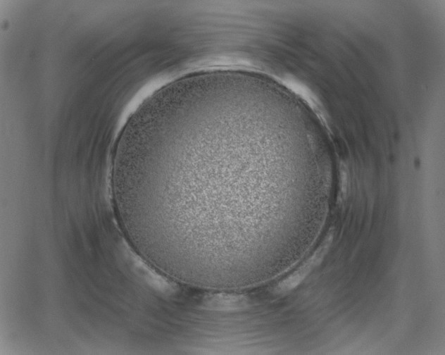 X0000062651374200512230845