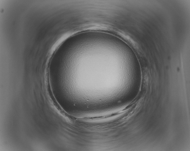 X0000062651375200512230845