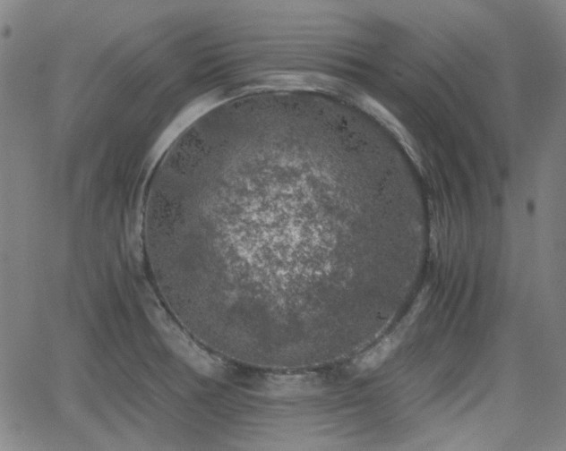 X0000062651378200512230845