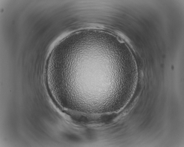 X0000062651379200512230845